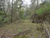 1648 Cassilis Road, Cassilis, Vic 3898-Image