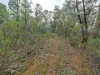 1648 Cassilis Road, Cassilis, Vic 3898-Image