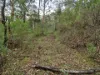 1648 Cassilis Road, Cassilis, Vic 3898-Image