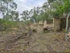 1648 Cassilis Road, Cassilis, Vic 3898-Image