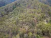 1648 Cassilis Road, Cassilis, Vic 3898-Image