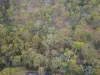 1648 Cassilis Road, Cassilis, Vic 3898-Image