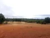165 Caladenia Drive, Coondle, WA 6566-Image
