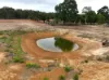 165 Caladenia Drive, Coondle, WA 6566-Image
