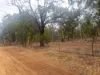 165 Caladenia Drive, Coondle, WA 6566-Image