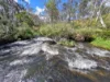 165 Hutchison Road, Bonang, Vic 3888