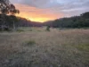 165 Hutchison Road, Bonang, Vic 3888-Image