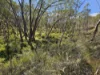 165 Hutchison Road, Bonang, Vic 3888-Image