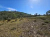 165 Hutchison Road, Bonang, Vic 3888-Image