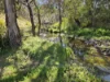 165 Hutchison Road, Bonang, Vic 3888-Image