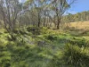 165 Hutchison Road, Bonang, Vic 3888-Image