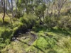 165 Hutchison Road, Bonang, Vic 3888-Image
