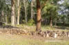 165 Lighthouse Road, South Bruny, Tas 7150-Image