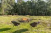 165 Lighthouse Road, South Bruny, Tas 7150-Image
