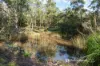 165 Lighthouse Road, South Bruny, Tas 7150-Image