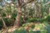 165 Lighthouse Road, South Bruny, Tas 7150-Image