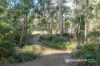 165 Lighthouse Road, South Bruny, Tas 7150-Image