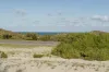 165 Two Rocks Road, Two Rocks, WA 6037-Image