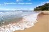 165A Princes Highway, Milton, NSW 2538-Image