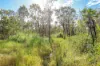 1666 Leonino Road, Darwin River, NT 0841-Image