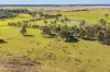 167 Lenaghans Drive, Black Hill, NSW 2322-Image