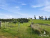 168 Bluff Rd, Gretna, Tas 7140