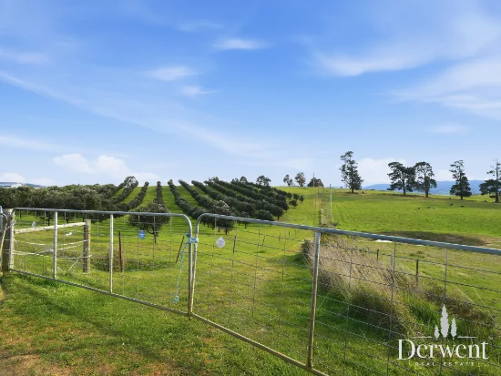 168 Bluff Rd, Gretna, Tas 7140