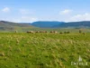168 Bluff Rd, Gretna, Tas 7140-Image