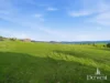 168 Bluff Rd, Gretna, Tas 7140-Image