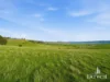 168 Bluff Rd, Gretna, Tas 7140-Image