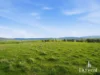 168 Bluff Rd, Gretna, Tas 7140-Image