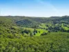 169 Dunns Road, Wolffdene, Qld 4207-Image