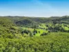 169 Dunns Road, Wolffdene, Qld 4207-Image