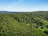 169 Dunns Road, Wolffdene, Qld 4207-Image