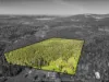 169 Dunns Road, Wolffdene, Qld 4207-Image