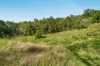 169 Dunns Road, Wolffdene, Qld 4207-Image