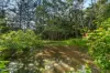 169 Dunns Road, Wolffdene, Qld 4207-Image