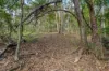 169 Dunns Road, Wolffdene, Qld 4207-Image