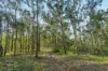 169 Dunns Road, Wolffdene, Qld 4207-Image