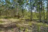 169 Dunns Road, Wolffdene, Qld 4207-Image
