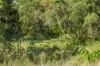 169 Dunns Road, Wolffdene, Qld 4207-Image
