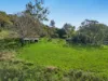 169 Dunns Road, Wolffdene, Qld 4207-Image
