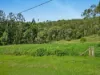 169 Dunns Road, Wolffdene, Qld 4207-Image