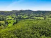 169 Dunns Road, Wolffdene, Qld 4207-Image
