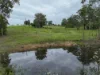 17 Alpine Drive, Tinonee, NSW 2430-Image