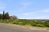 17 Bushy Park Drive, Auldana, SA 5072-Image
