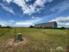 17 Effley Street, Mareeba, Qld 4880-Image