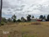 17 Francis Lane, Adventure Bay, Tas 7150-Image