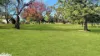 17 Lear Lane, Woodside, Vic 3874-Image