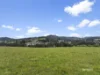 17 Norris Street, Cygnet, Tas 7112-Image